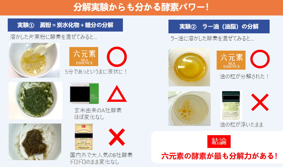 六元素酵素